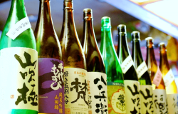 Colorful bottles of sake lined up, each facing forward with its own unique labels.