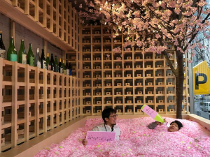 Saga Prefecture’s Sakura Chill Bar Comes to Tokyo