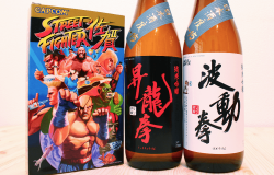 Street Fighter Teams Up with Saga Prefecture