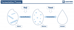 ermentation-process