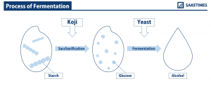 SAKETIMESinfographic_process-of-fermentation