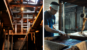 Dive Deeper into Local Sake and Soy Sauce Culture in Kawagoe