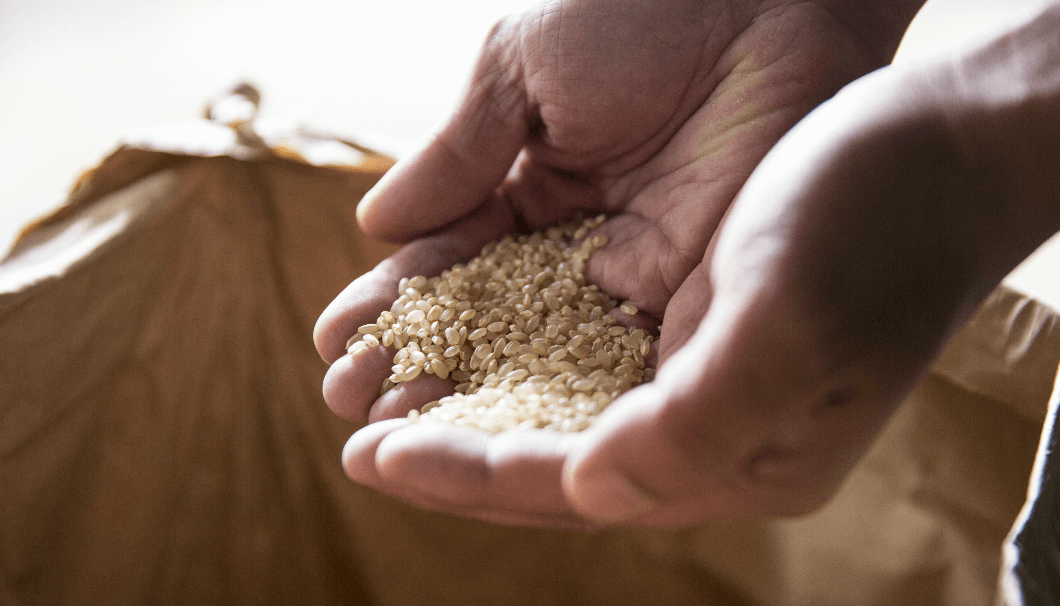 Terroir of sake
