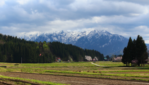 mountains