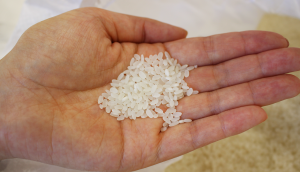 rice