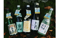 Five Niigata Sake Breweries Join Forces to Save Forests
