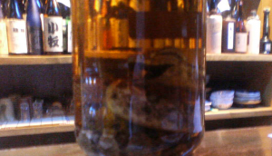 habu snake liquor