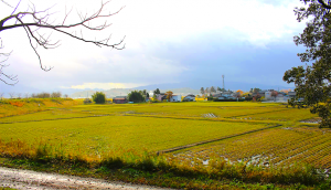 town of Shibata