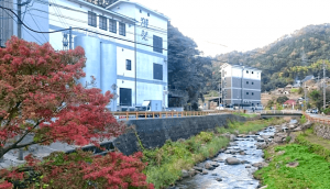 Dassai