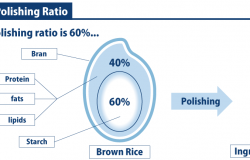 Rice-Polishing-Ratio_SAKETIMES_infographics