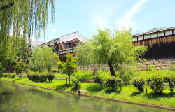 Fushimi