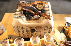 sake in fushimi