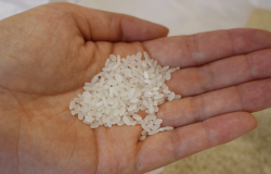 Photograph of "sakamai" saved by hand