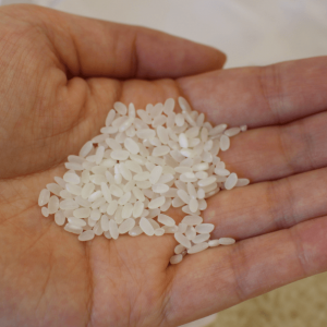 Photograph of "sakamai" saved by hand