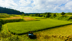 Noto Peninsula of Ishikawa Prefecture