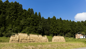 Noto Peninsula of Ishikawa Prefecture