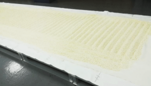 Rice Koji