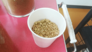 Soy Sauce Koji